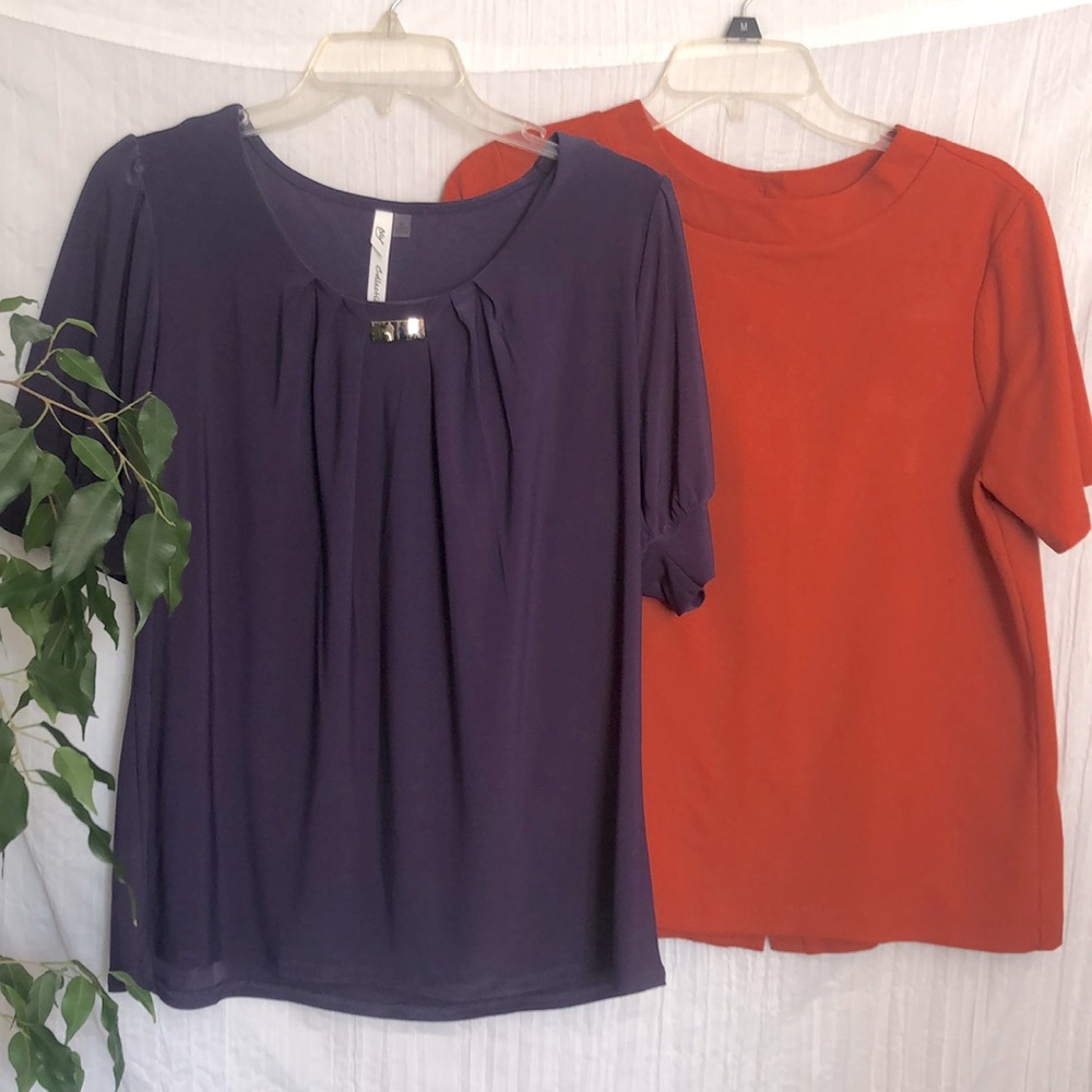 NY COLLECTION & JELLA COUTURE lot of 2 dressy tops size PL rust & purple